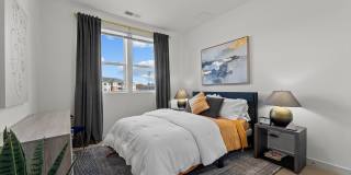 Legend at Beards Hill Gallery 4