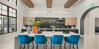 Edera Palm Springs Gallery 36