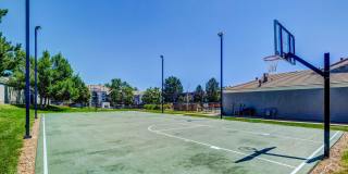 Artemis at Spring Canyon Gallery 9