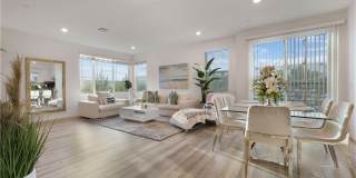225 Steely Gallery 4