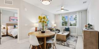 Eastshore Palm Bay Gallery 5