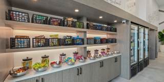 Grande Pointe Gallery 48