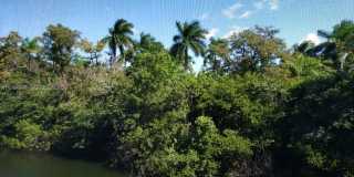 116 Royal Park Dr Gallery 1