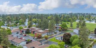 Willow Wood Village Gallery 1