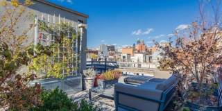 11 Prince Street Gallery 6