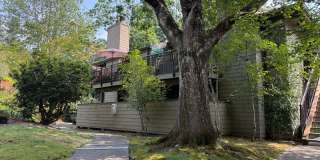 Remodeled Lake Oswego Condo | Quiet Neighborhood, Pool & A/C Remodeled Lake Oswego Condo | Quiet Neighborhood, Pool & A/C Gallery 1