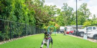 Fountains Matthews Gallery 24