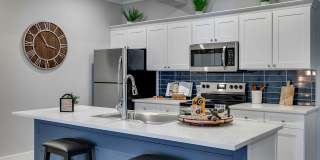 Paragon Luxury Apartments Gallery 19