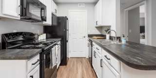 Albany Landings Gallery 16