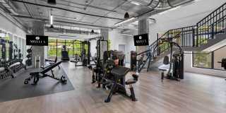 Arvella Arvella Gallery 51