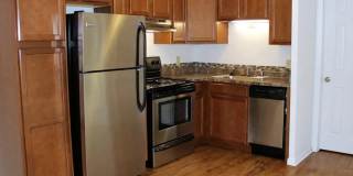 Springtree Gallery 7