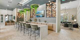 Bainbridge International Gallery 12