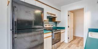 1306 Glenda Gallery 8