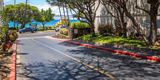 Ocean View 2/2 Fully Furnished + Newly Renovated Condo! Gallery 4