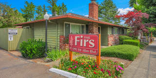 The Firs Apartments Gallery 4