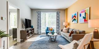 Velo Forest Hills Gallery 6