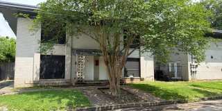 Royal Oaks Gallery 1