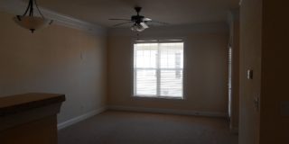 Briton Trace Apartments Gallery 93