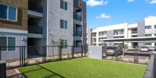 Acero at the Stadium Gallery 29