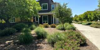 Charming 3 Bed / 2.5 Bath Home with Modern Upgrades Gallery 6