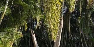 For Rent in Southgate Gallery 10