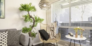 Axiom Tustin Gallery 5