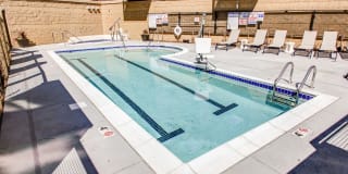 The Paxon Gallery 30