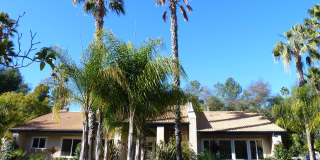 11337 Avenida De Los Lobos Gallery 23
