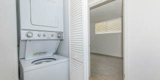 Treehouse Apartments Gallery 17