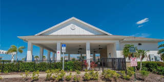 152 BRIGHT IBIS Avenue Gallery 53