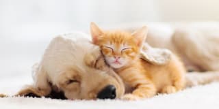 Shorewood Gallery 55