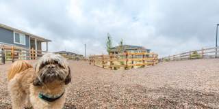 The Argonne Gallery 15