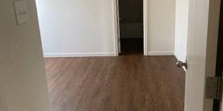 225 Gibson A Gallery 8