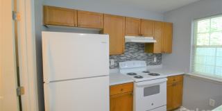 7539 Petrea Lane Gallery 8