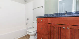 Carrington Gallery 64