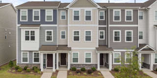 Room in 3 Bedroom Home in Raleigh Gallery 1