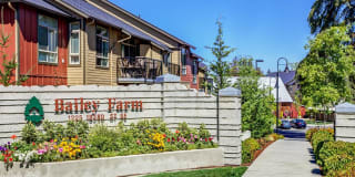 Bailey Farm Gallery 1