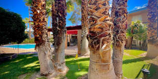 Maryland Park Gallery 20