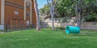 The Hills Of Corona Gallery 35