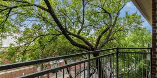 WALK TO UT/DRAG!!! Gallery 20