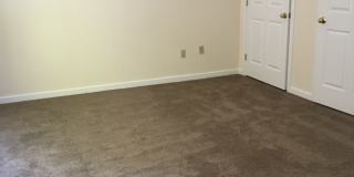 Chestnut Hill East Gallery 14