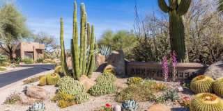 7152 E Night Glow Circle Gallery 45