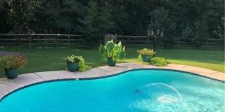 10378 Sutherby Drive Gallery 14