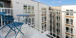 Alexan Main Street Gallery 40