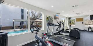 Treehouse Gallery 23