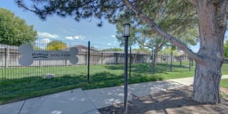 Rosewood Apartments Gallery 43