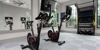 Atlantic Palms at Tradition Gallery 6