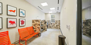 Jayne Gallery 24