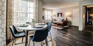 Bella Solara Gallery 4