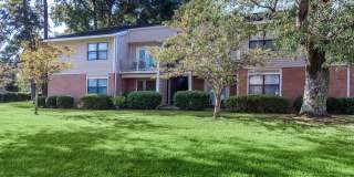 Sawgrass Apartments Gallery 6